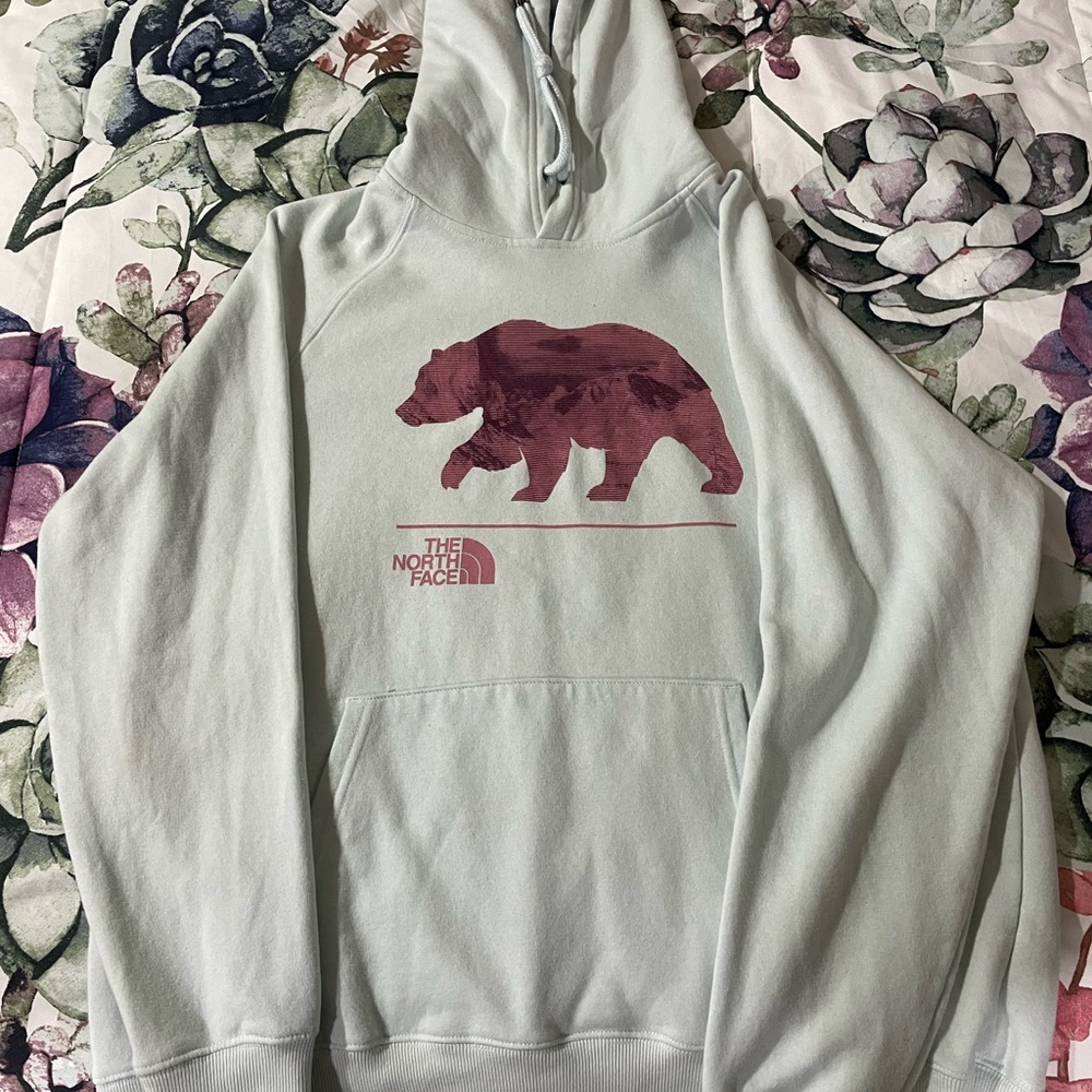 The North Face Light Gray Hoodie with Bear Graphic
